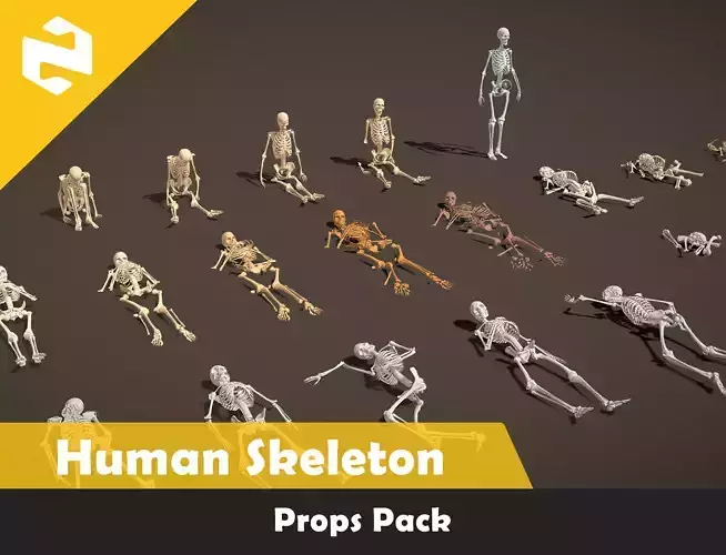 Props Pack - Human Skeleton Low-poly 3D model