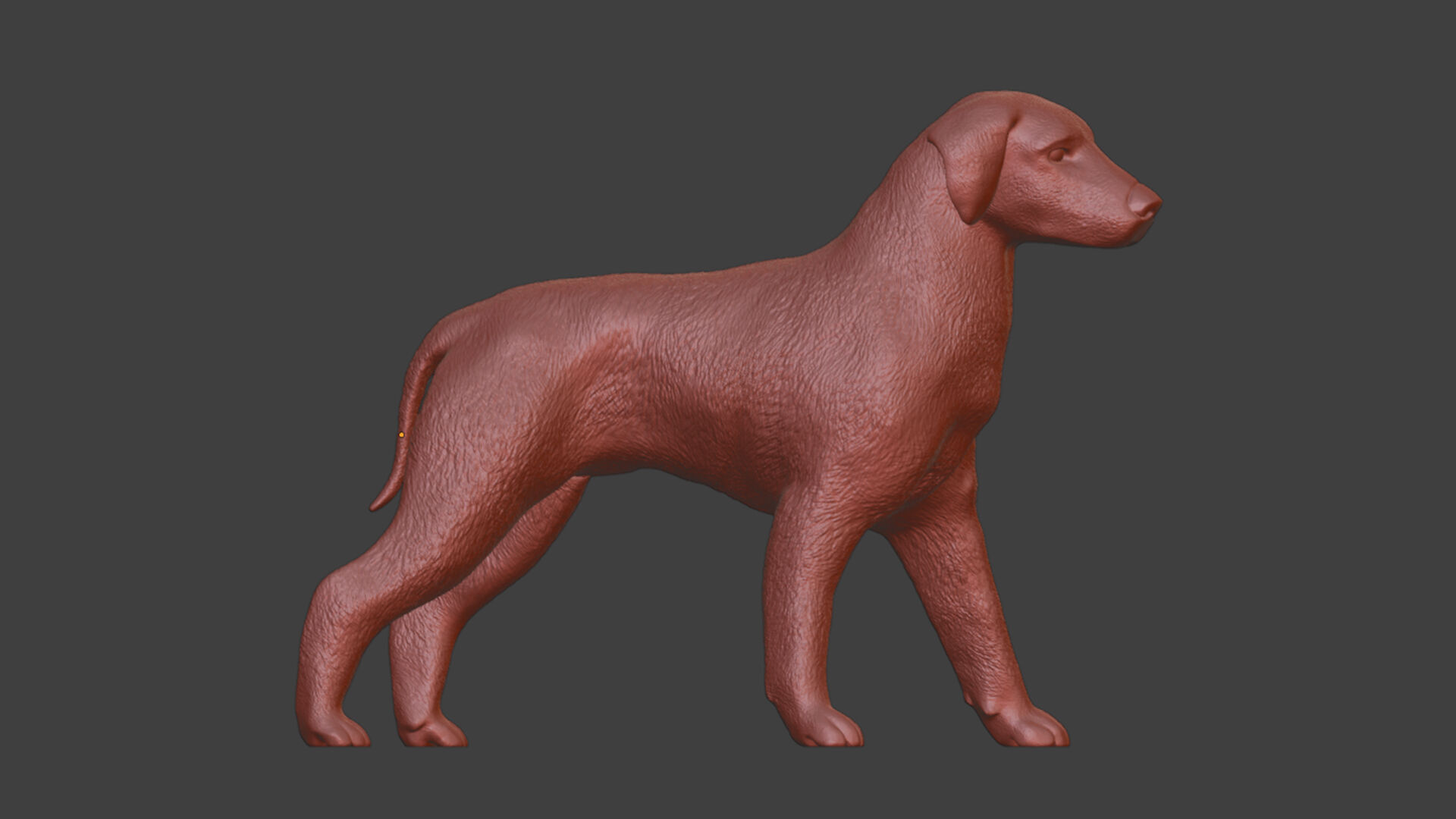 Boxer Great Dane Dog Sculpture STL Realistic Toy Version 3D print model_6