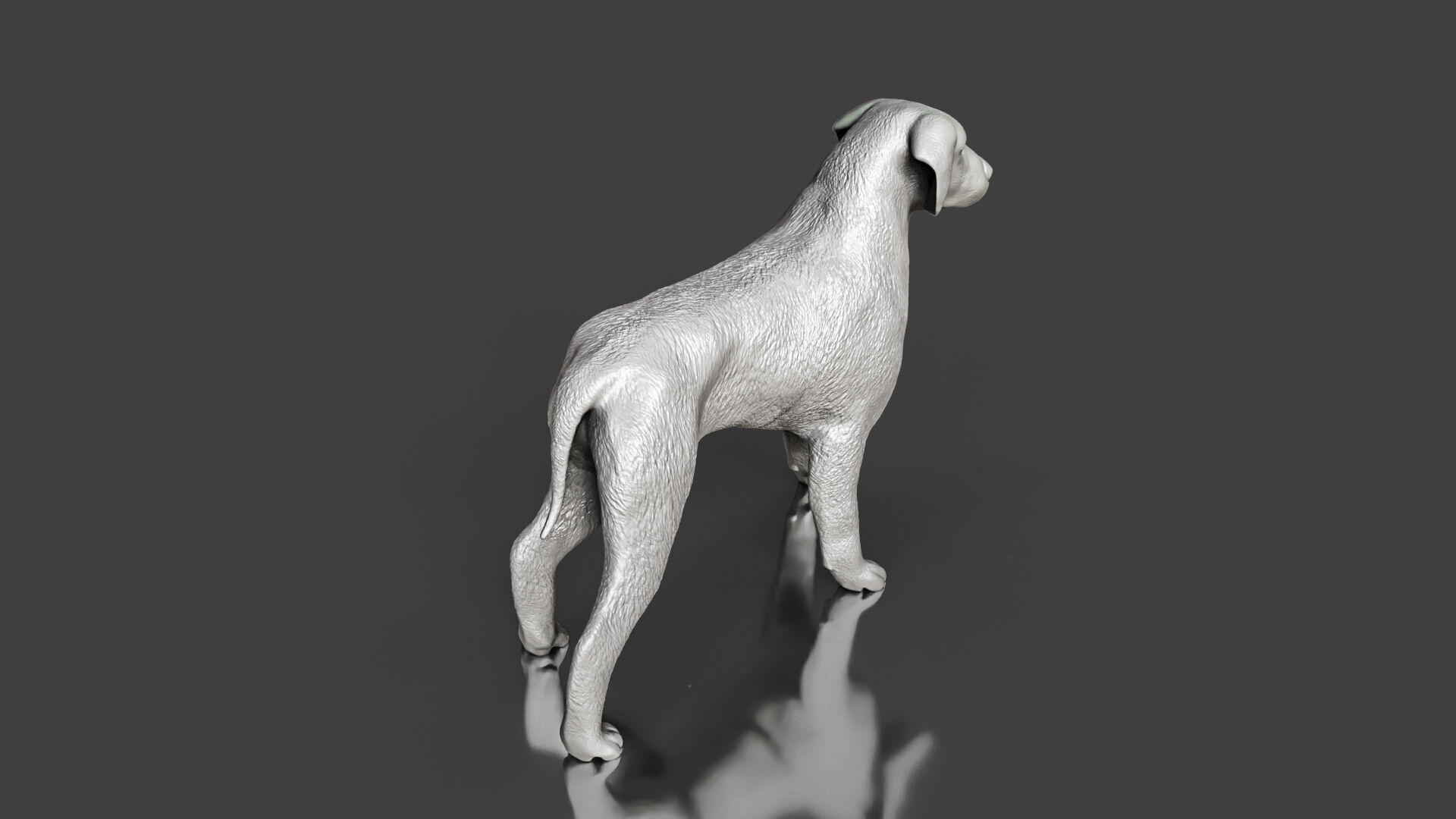 Boxer Great Dane Dog Sculpture STL Realistic Toy Version 3D print model_2