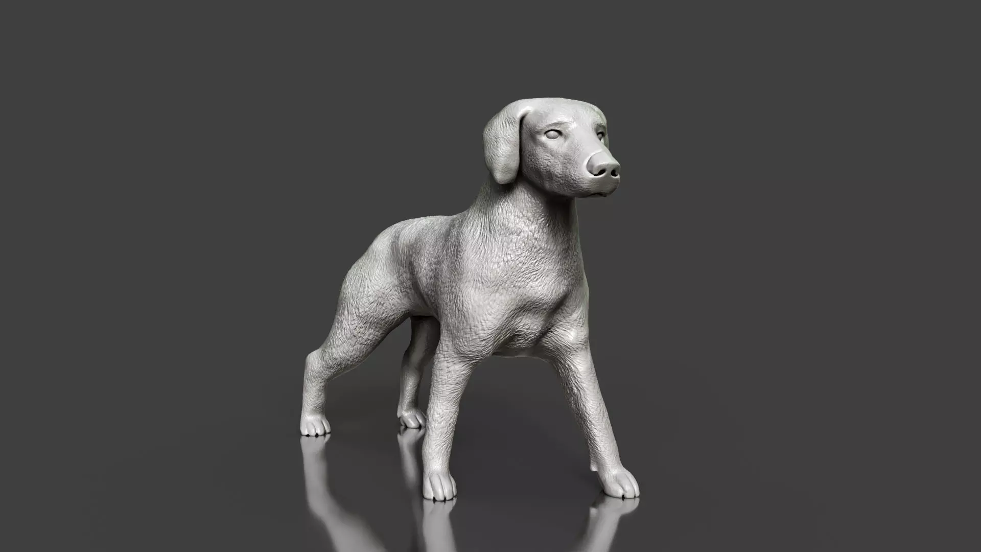 Boxer Great Dane Dog Sculpture STL Realistic Toy Version 3D print model_0