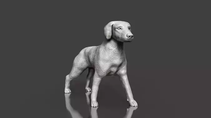 Boxer Great Dane Dog Sculpture STL Realistic Toy Version