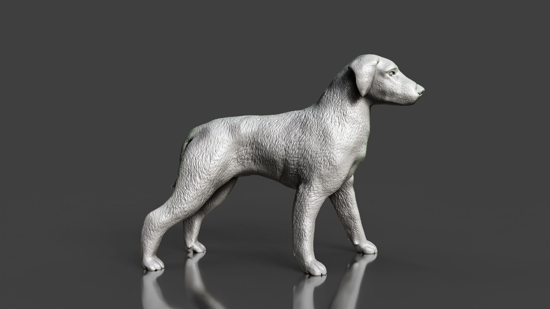 Boxer Great Dane Dog Sculpture STL Realistic Toy Version 3D print model_1