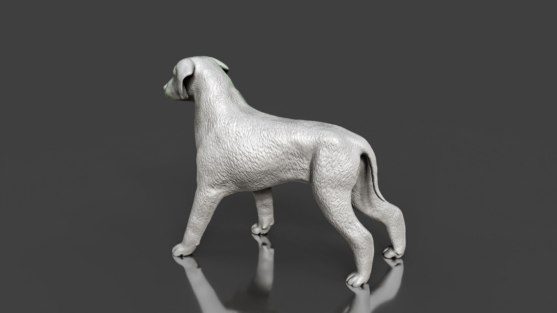 Boxer Great Dane Dog Sculpture STL Realistic Toy Version 3D print model_3