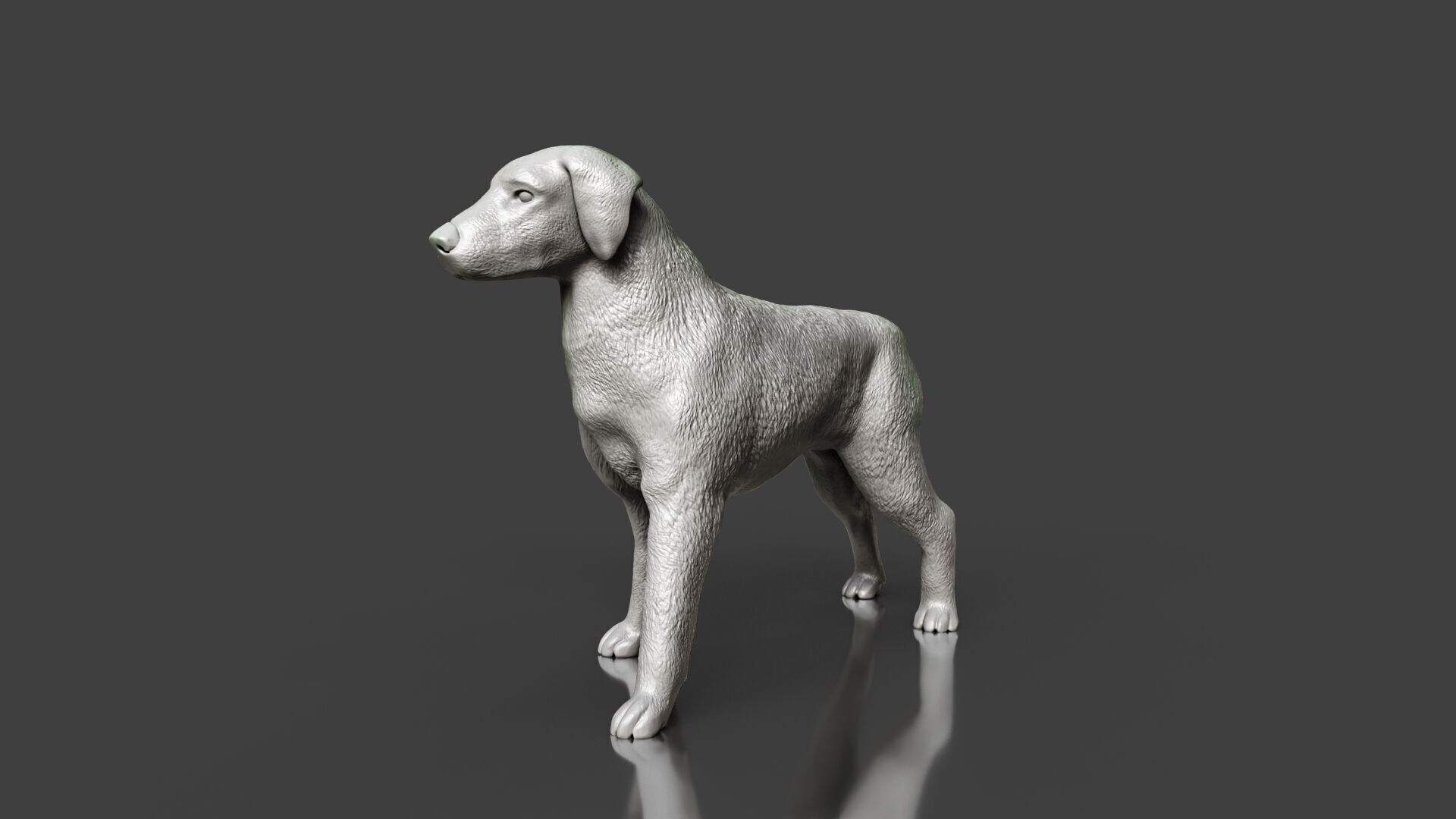 Boxer Great Dane Dog Sculpture STL Realistic Toy Version 3D print model_4
