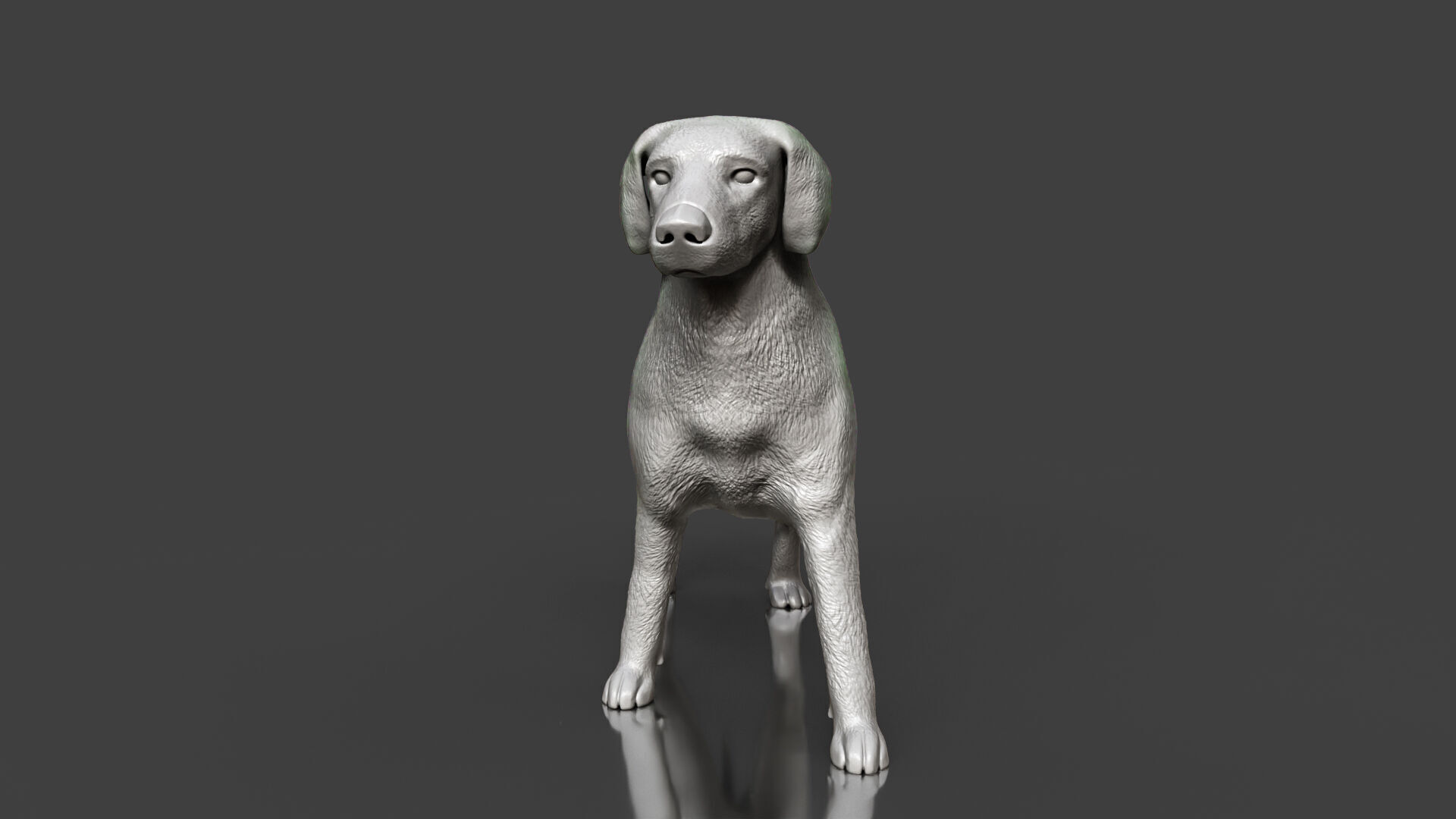 Boxer Great Dane Dog Sculpture STL Realistic Toy Version 3D print model_5