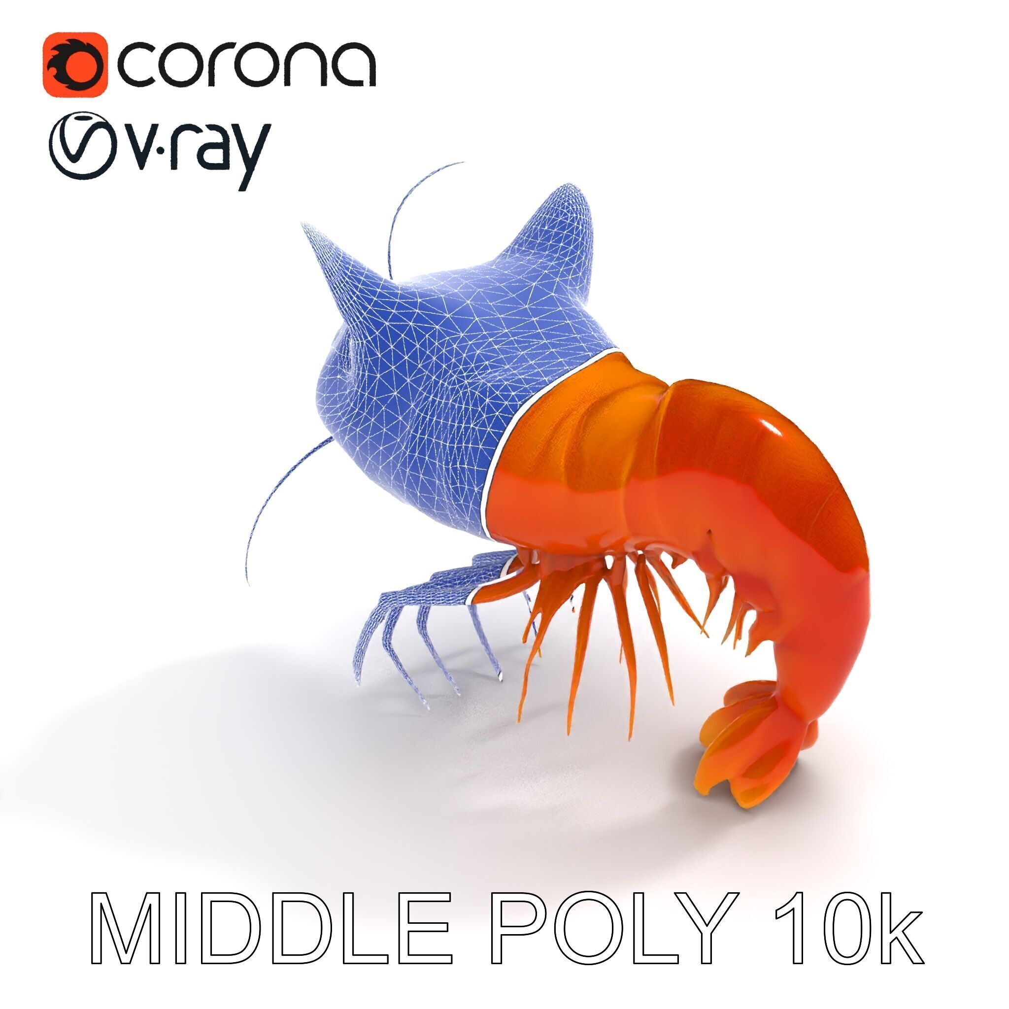 Cat Shrimp Trippy Tropa Low-poly 3D model_12