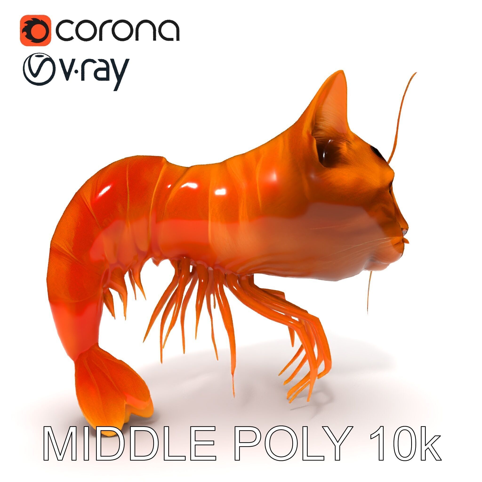 Cat Shrimp Trippy Tropa Low-poly 3D model_22