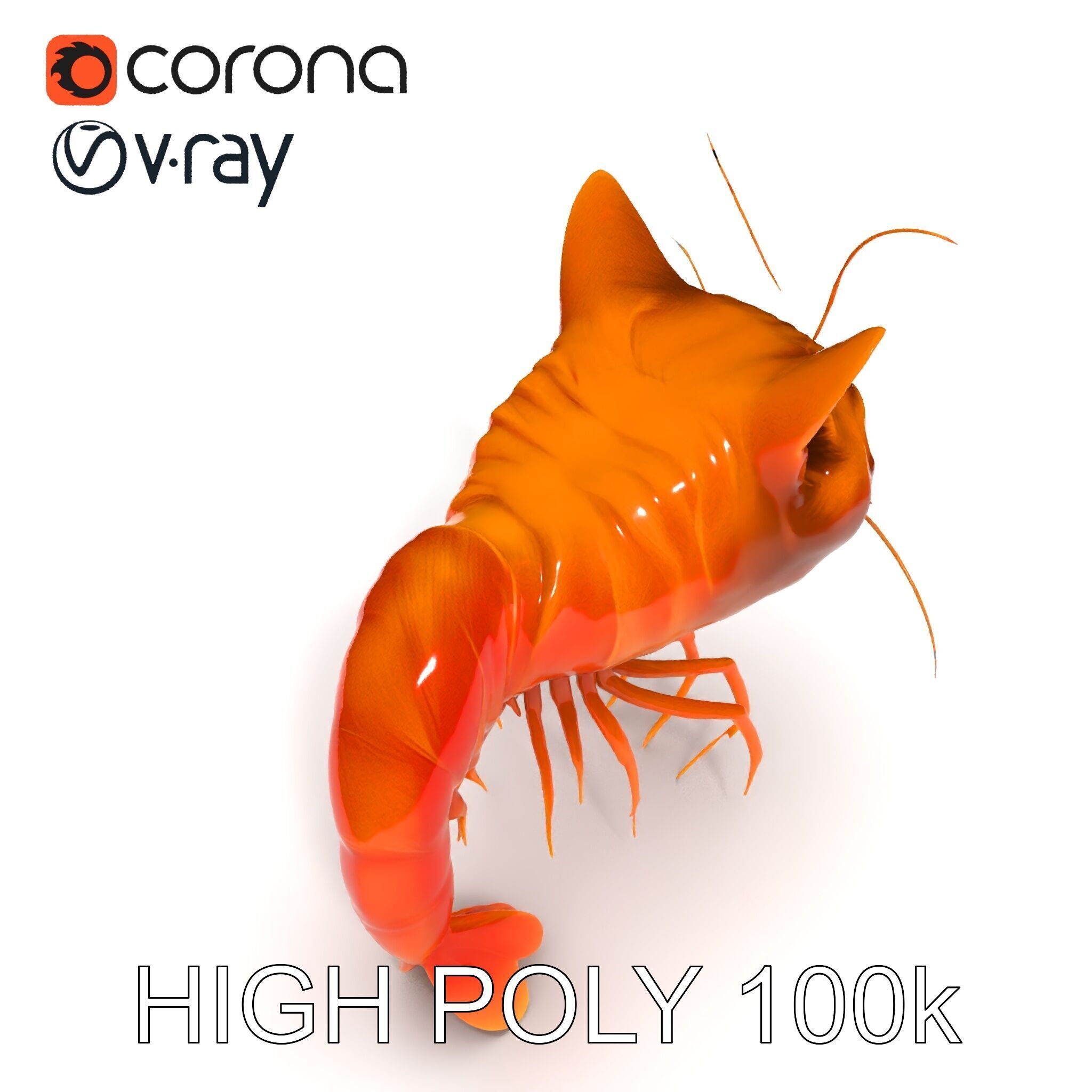 Cat Shrimp Trippy Tropa Low-poly 3D model_26