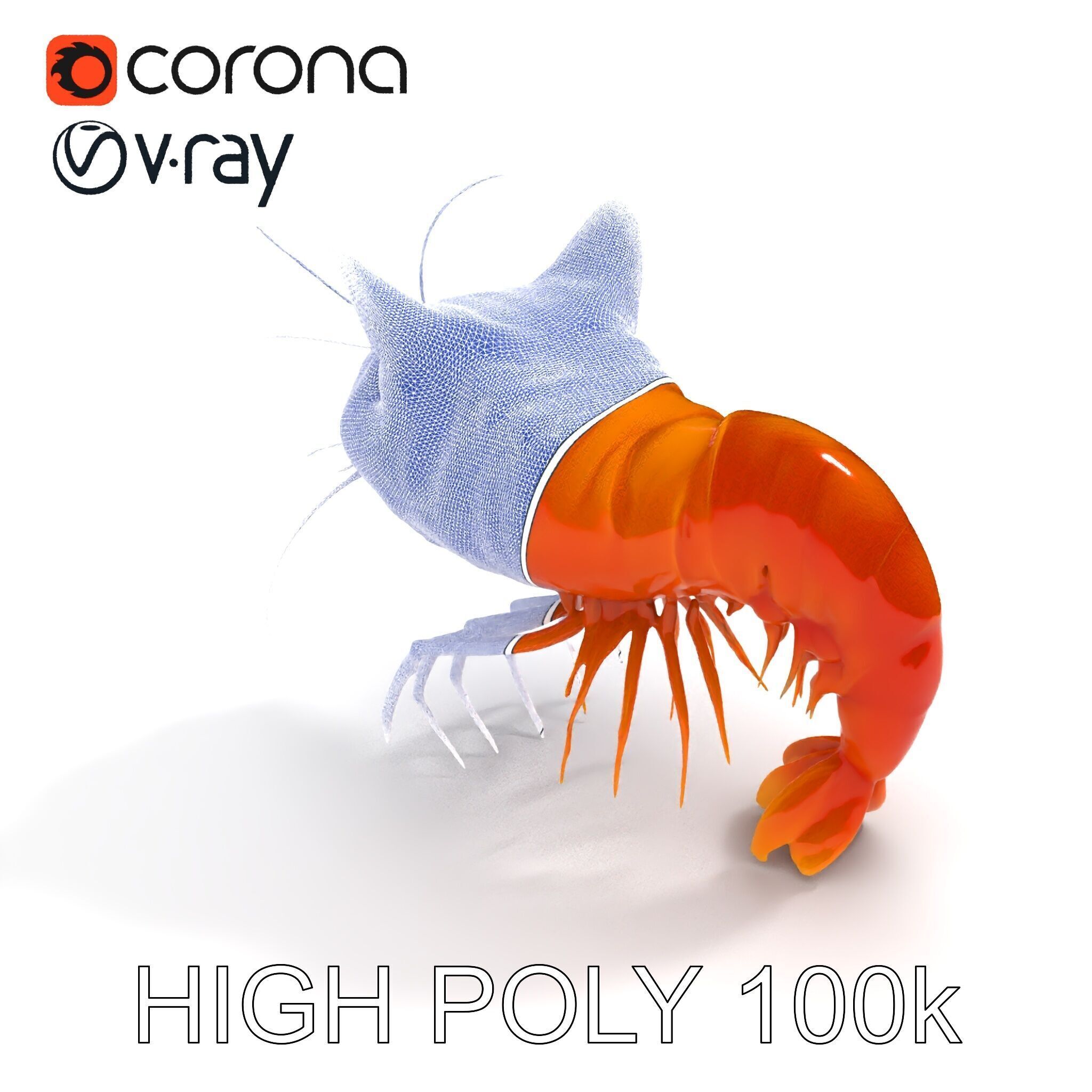 Cat Shrimp Trippy Tropa Low-poly 3D model_32