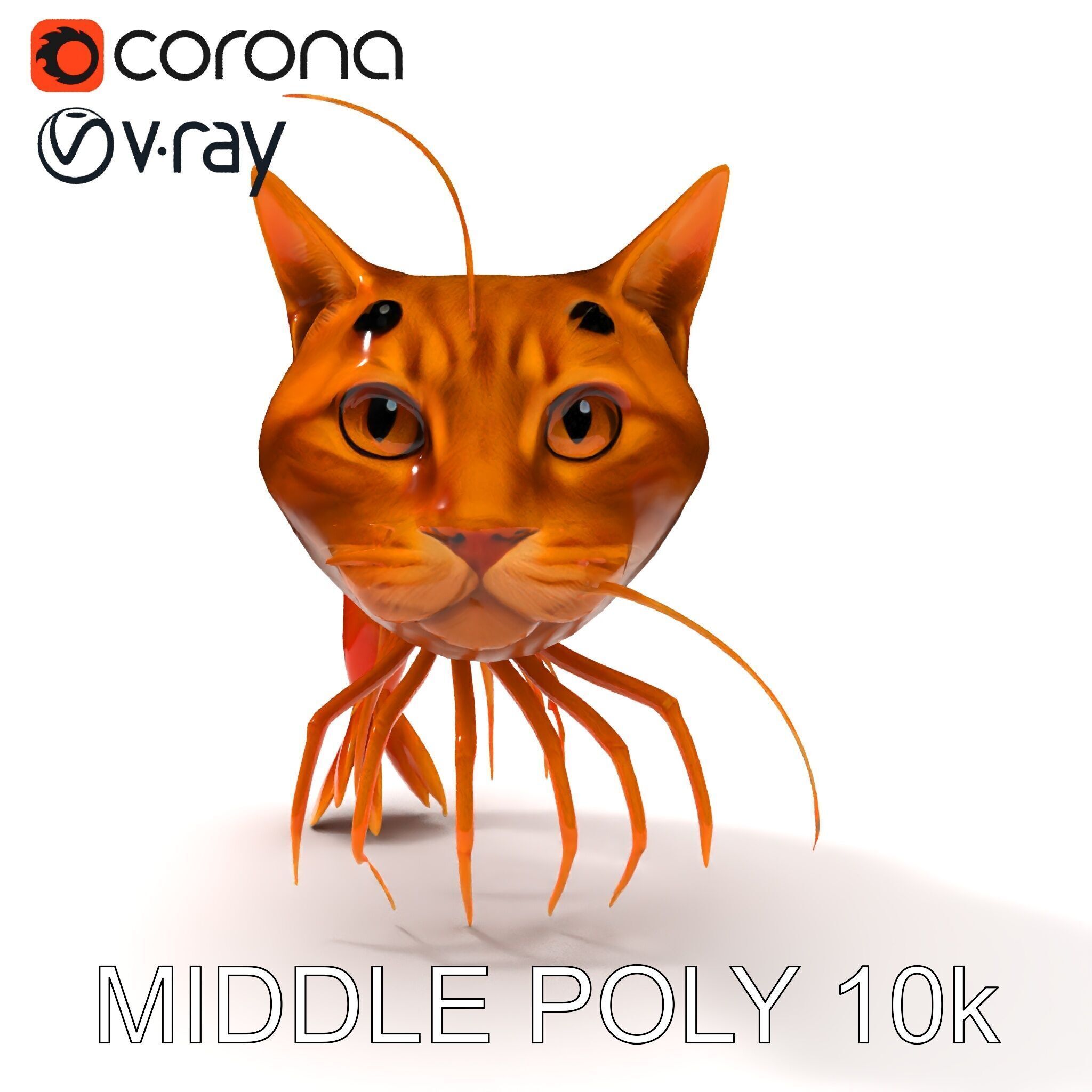 Cat Shrimp Trippy Tropa Low-poly 3D model_33