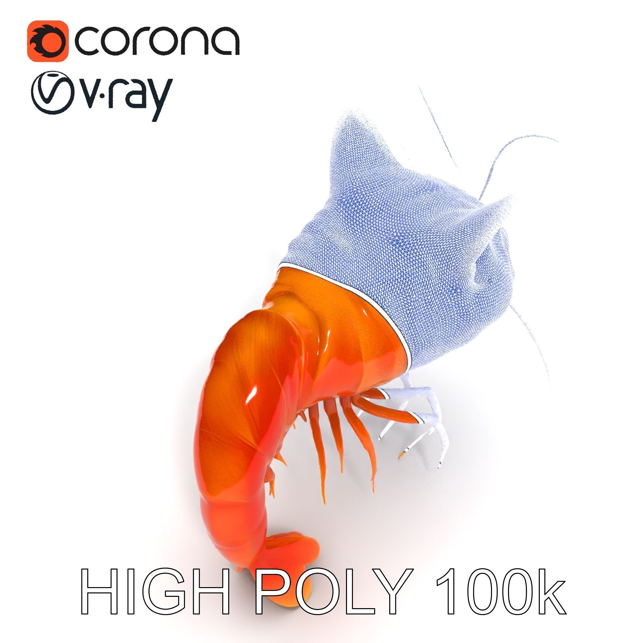 Cat Shrimp Trippy Tropa Low-poly 3D model_35