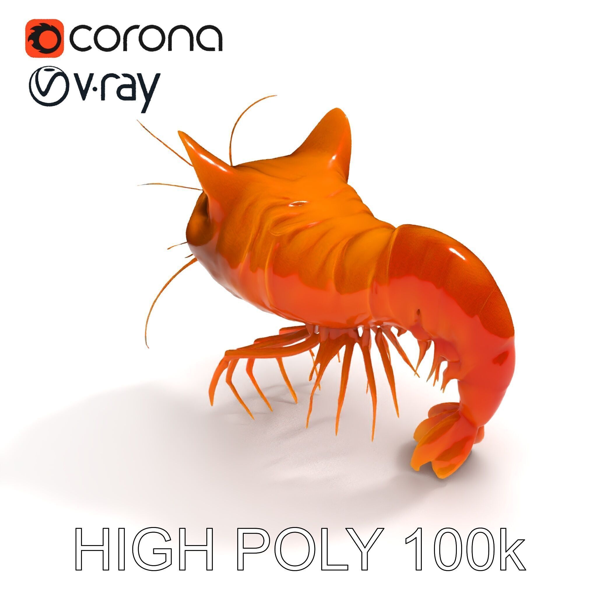 Cat Shrimp Trippy Tropa Low-poly 3D model_11