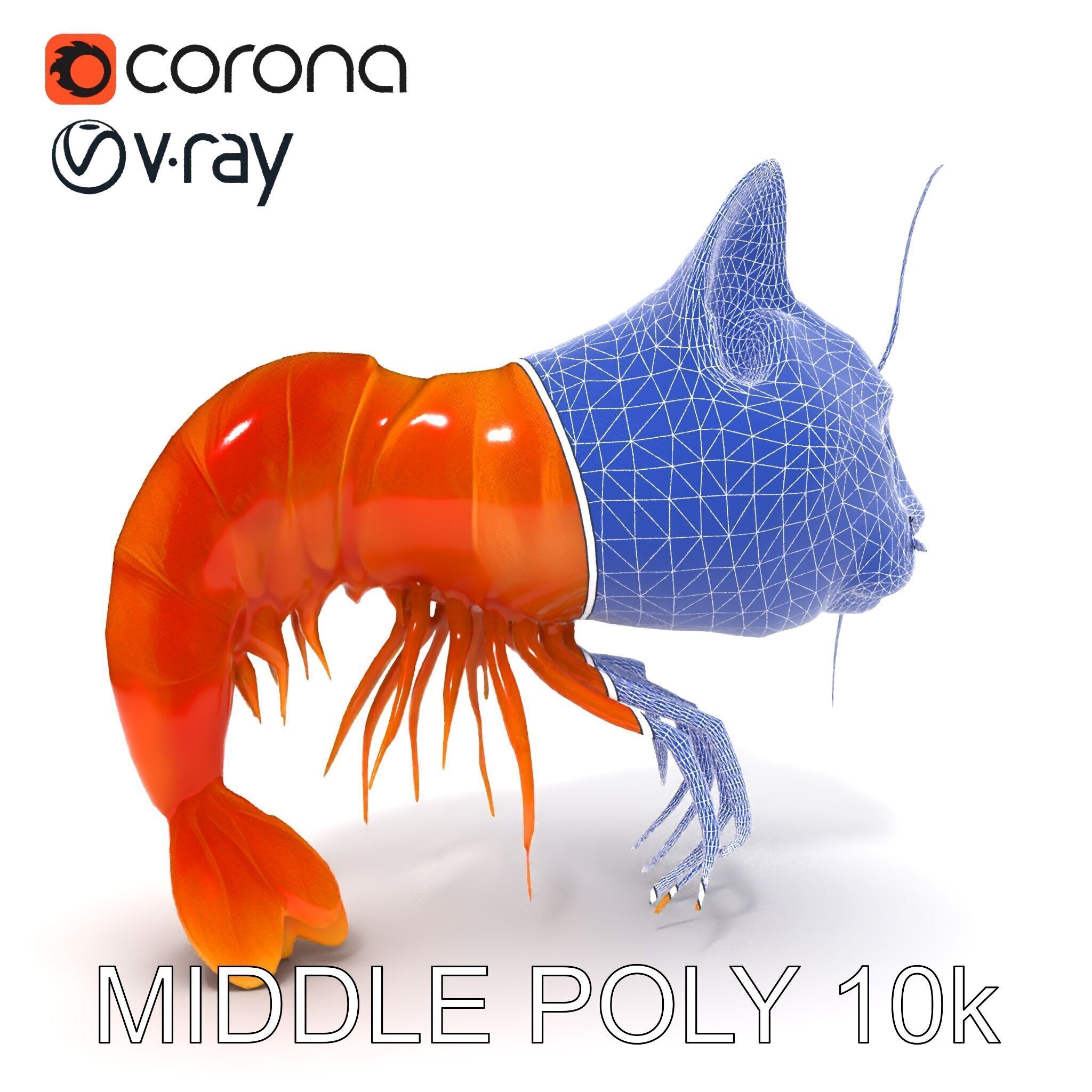 Cat Shrimp Trippy Tropa Low-poly 3D model_9