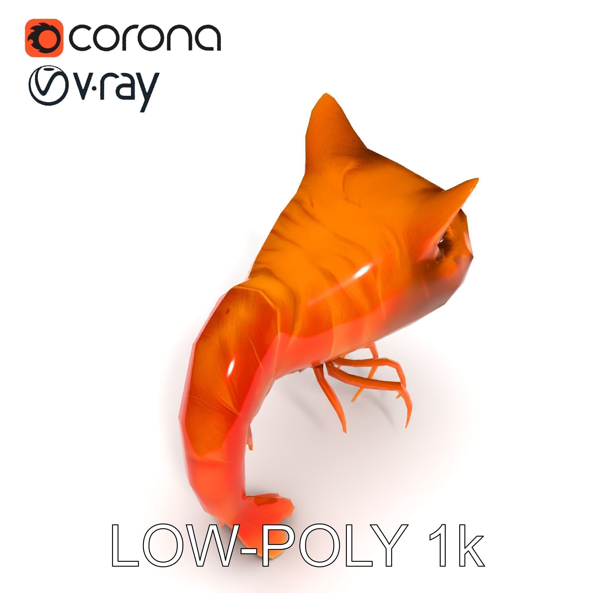 Cat Shrimp Trippy Tropa Low-poly 3D model_34