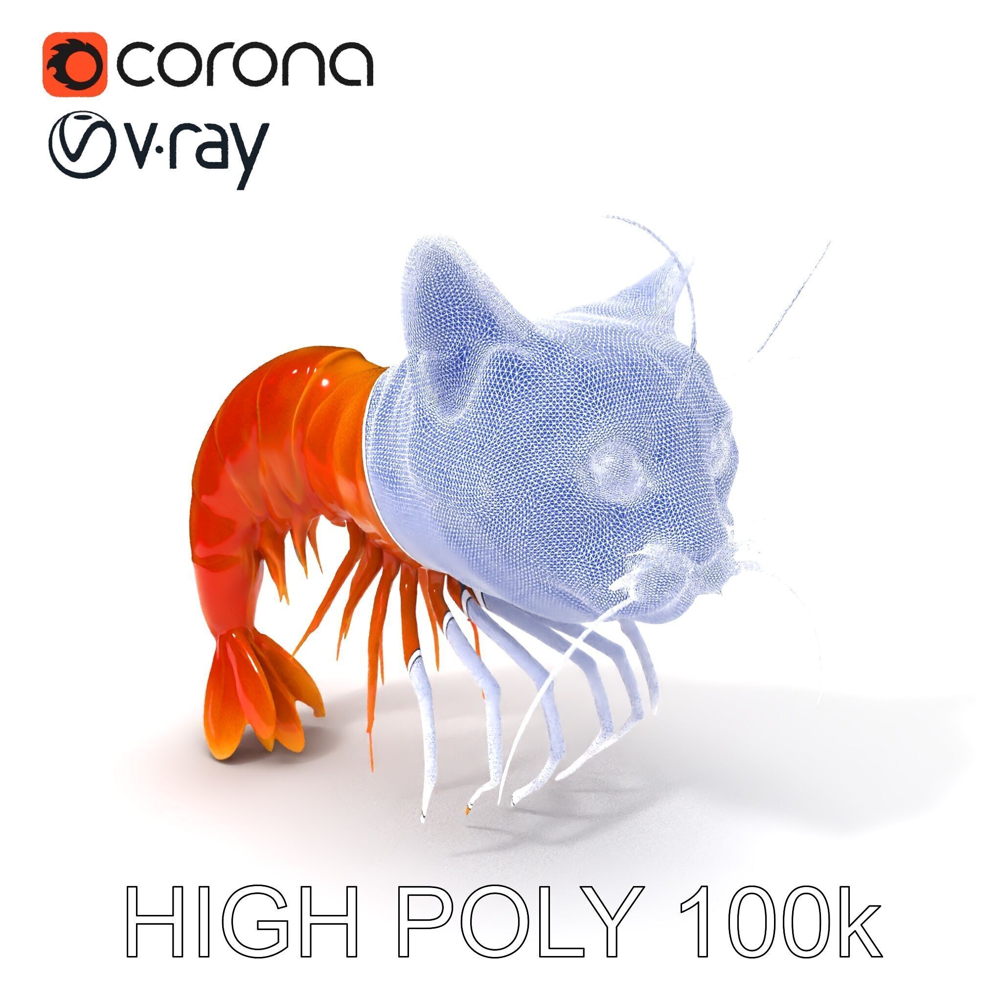Cat Shrimp Trippy Tropa Low-poly 3D model_3