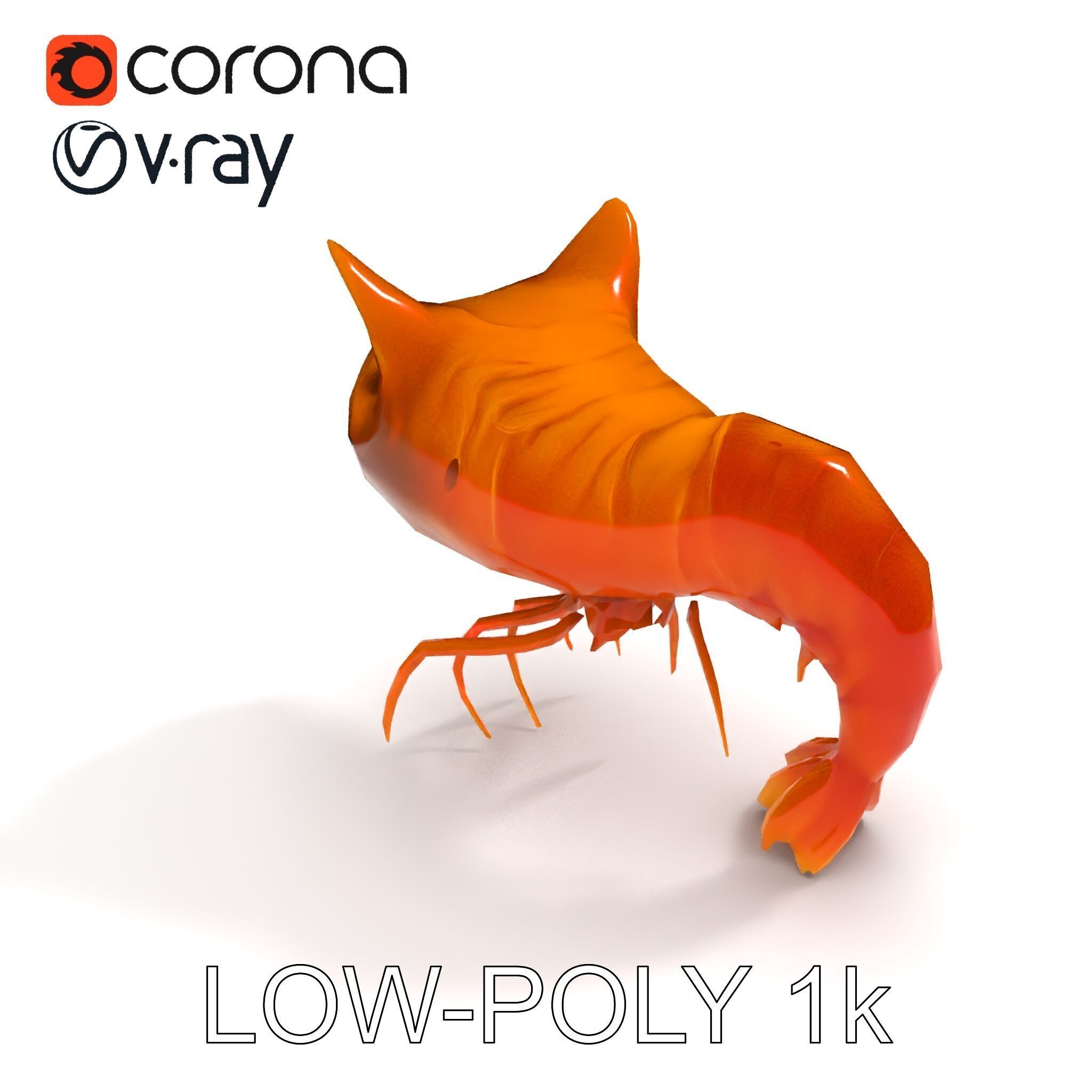 Cat Shrimp Trippy Tropa Low-poly 3D model_25