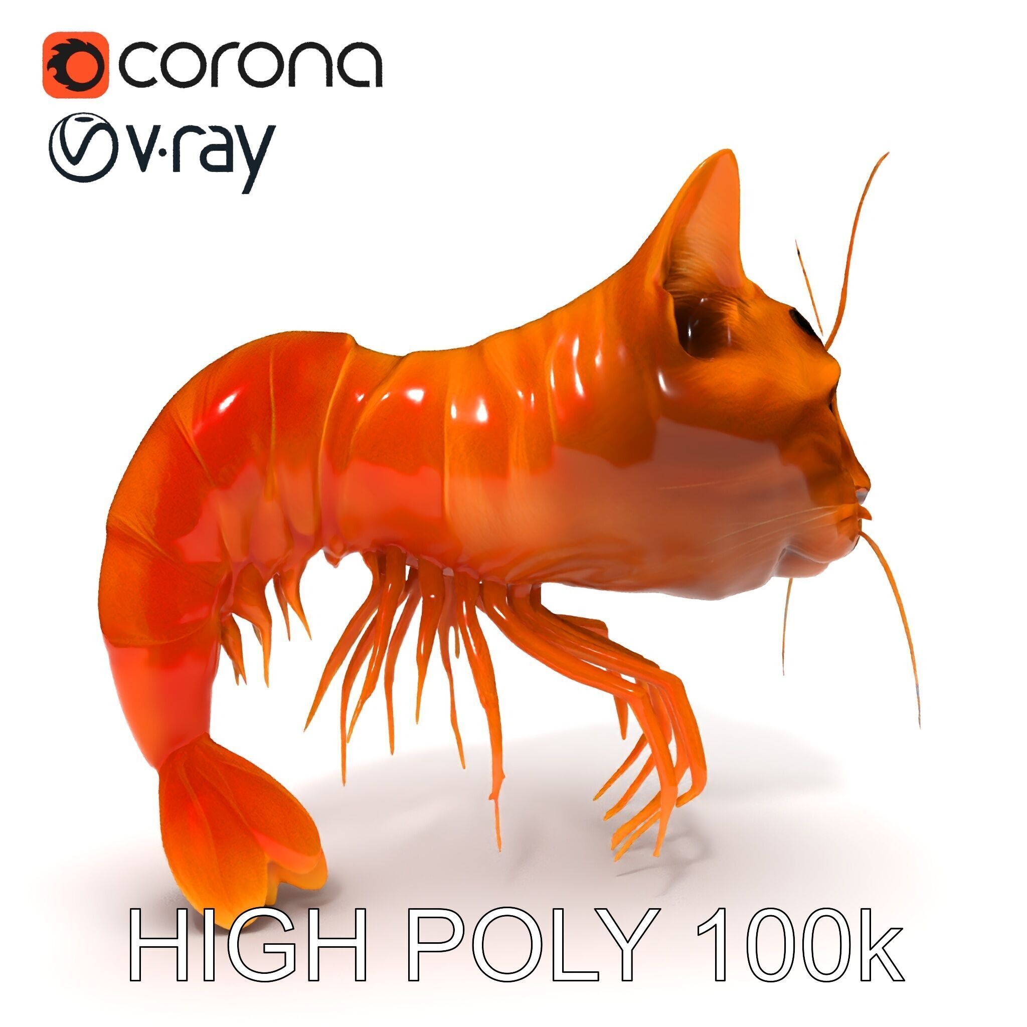 Cat Shrimp Trippy Tropa Low-poly 3D model_29