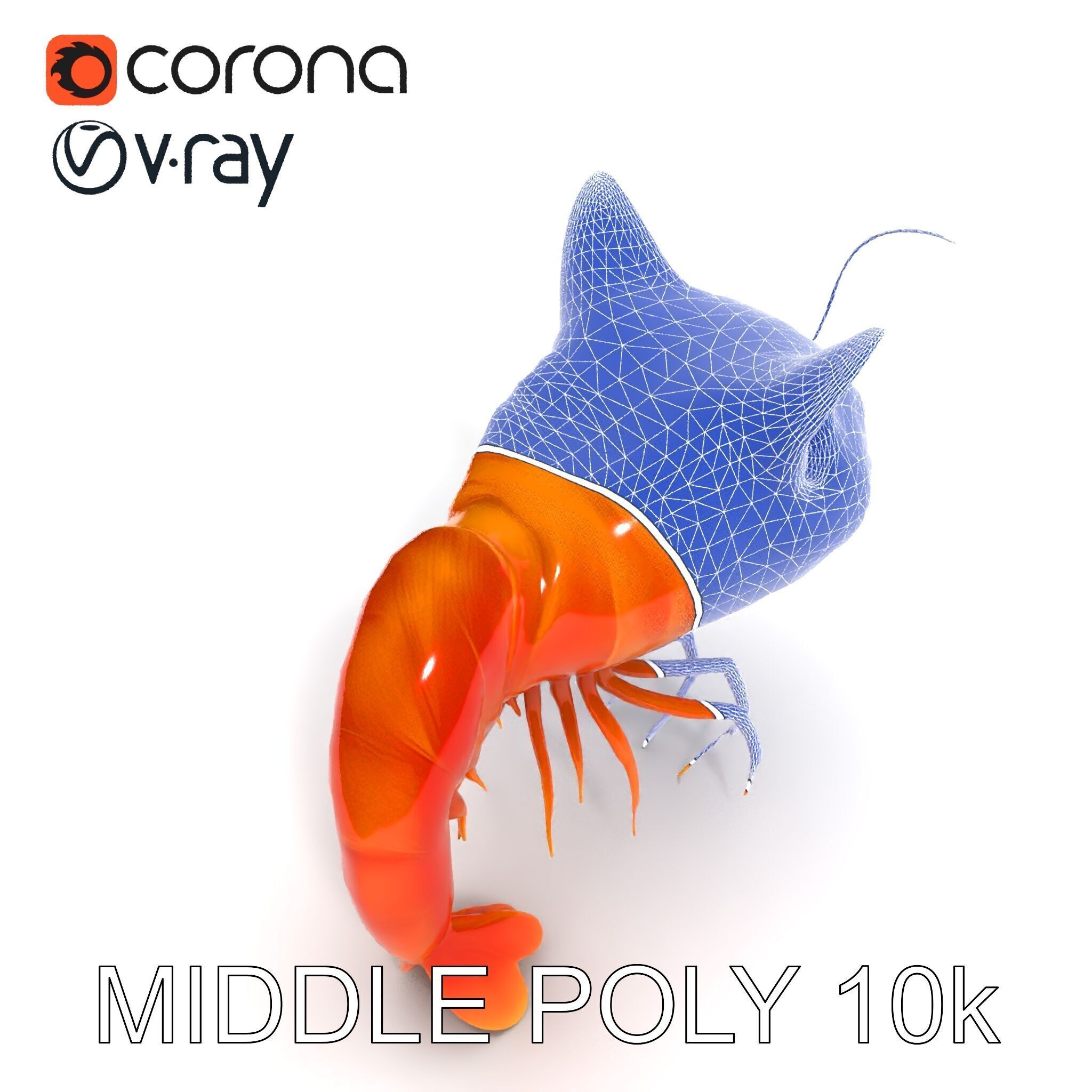 Cat Shrimp Trippy Tropa Low-poly 3D model_17