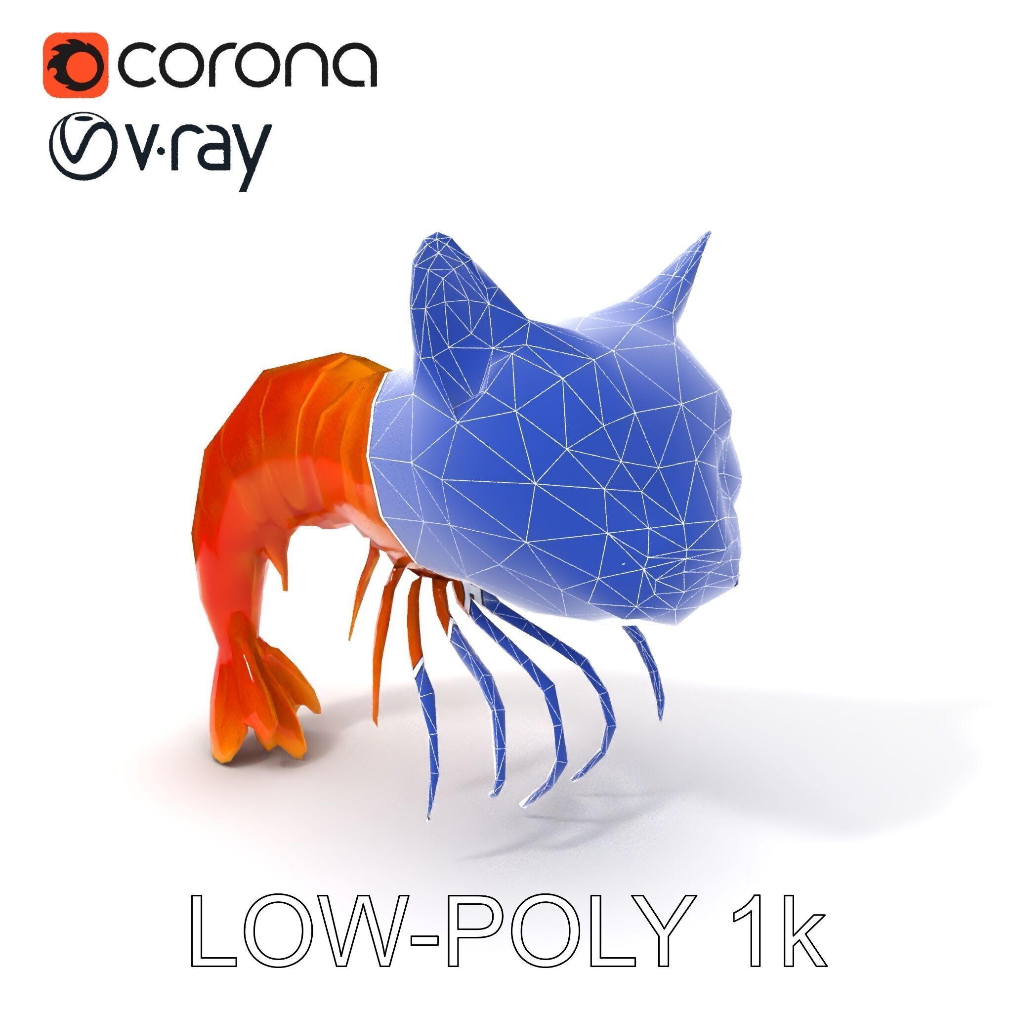 Cat Shrimp Trippy Tropa Low-poly 3D model_13