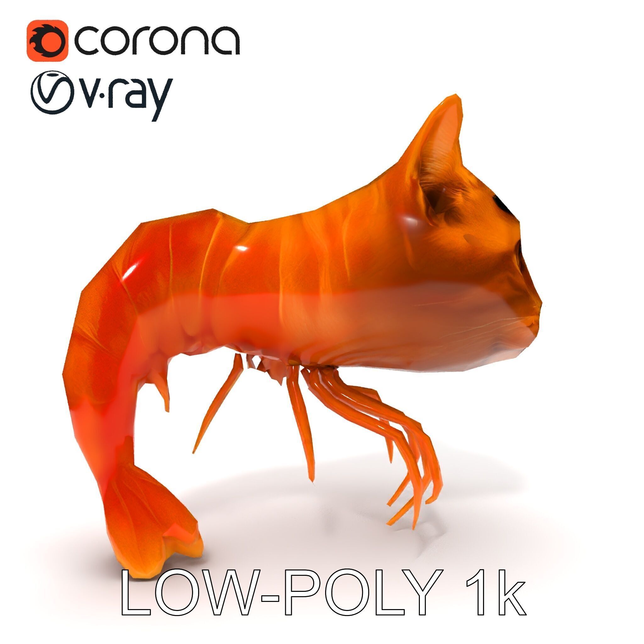 Cat Shrimp Trippy Tropa Low-poly 3D model_23