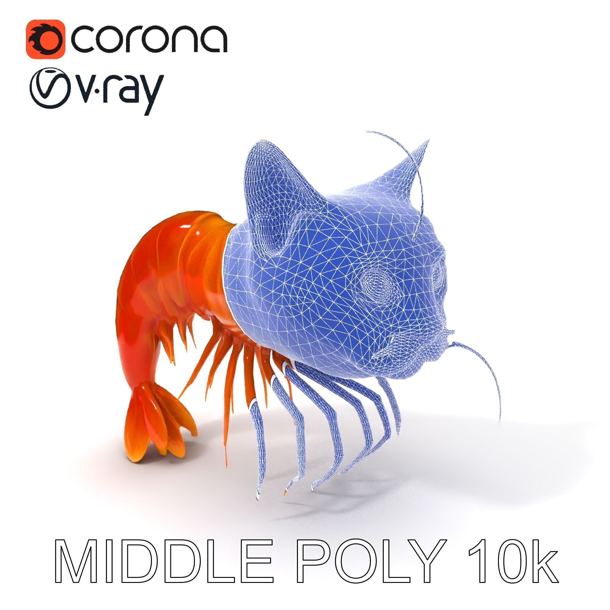 Cat Shrimp Trippy Tropa Low-poly 3D model_27