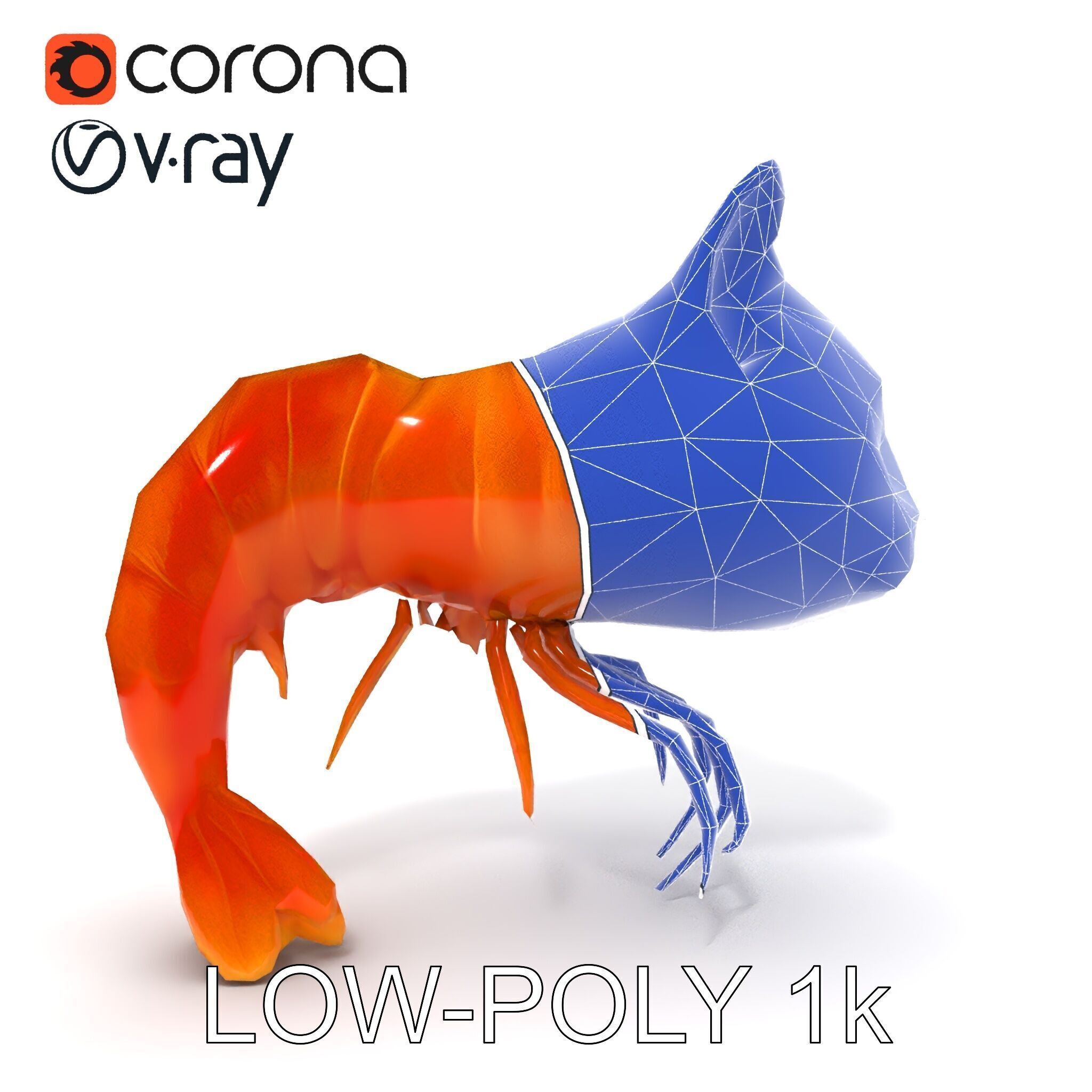 Cat Shrimp Trippy Tropa Low-poly 3D model_15