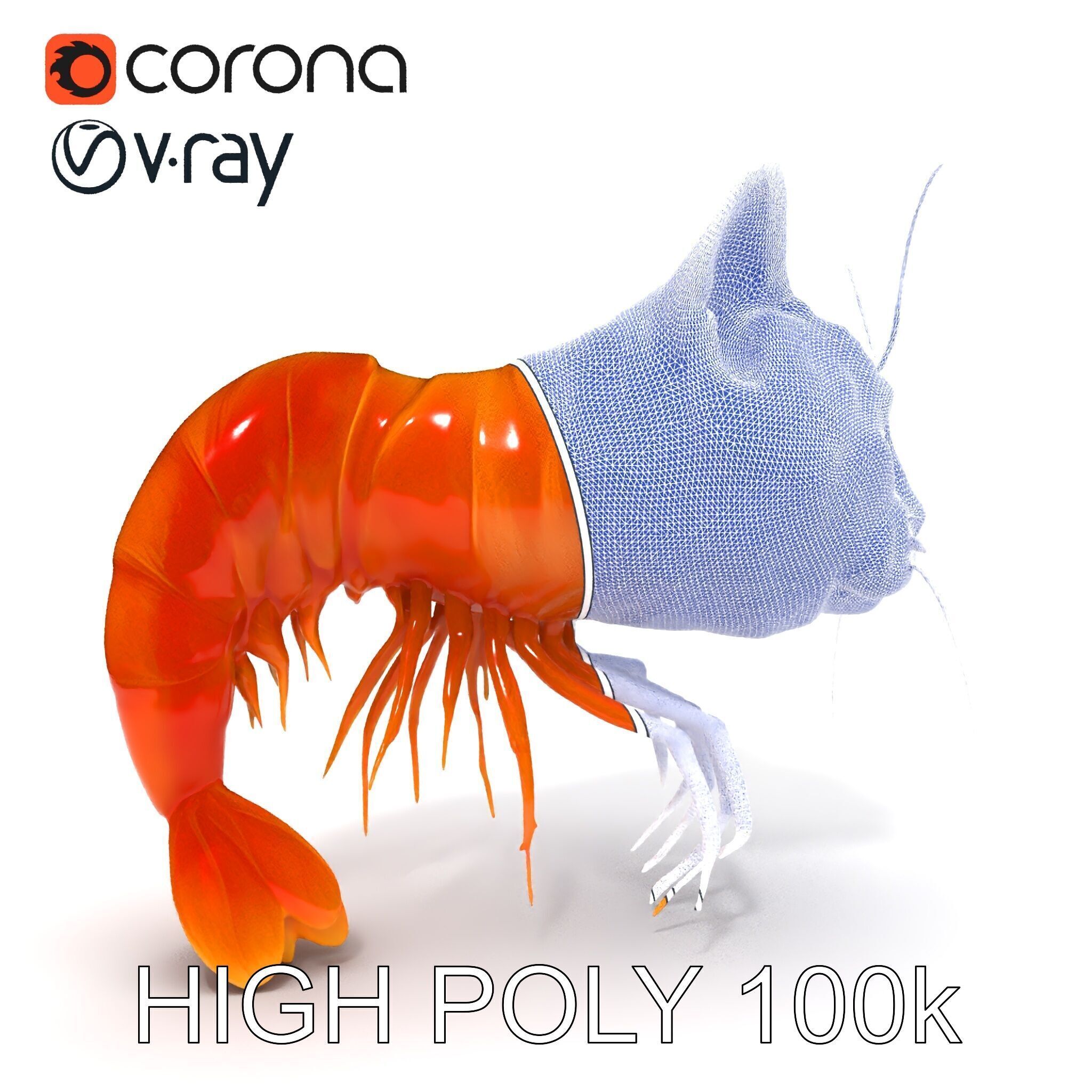 Cat Shrimp Trippy Tropa Low-poly 3D model_8
