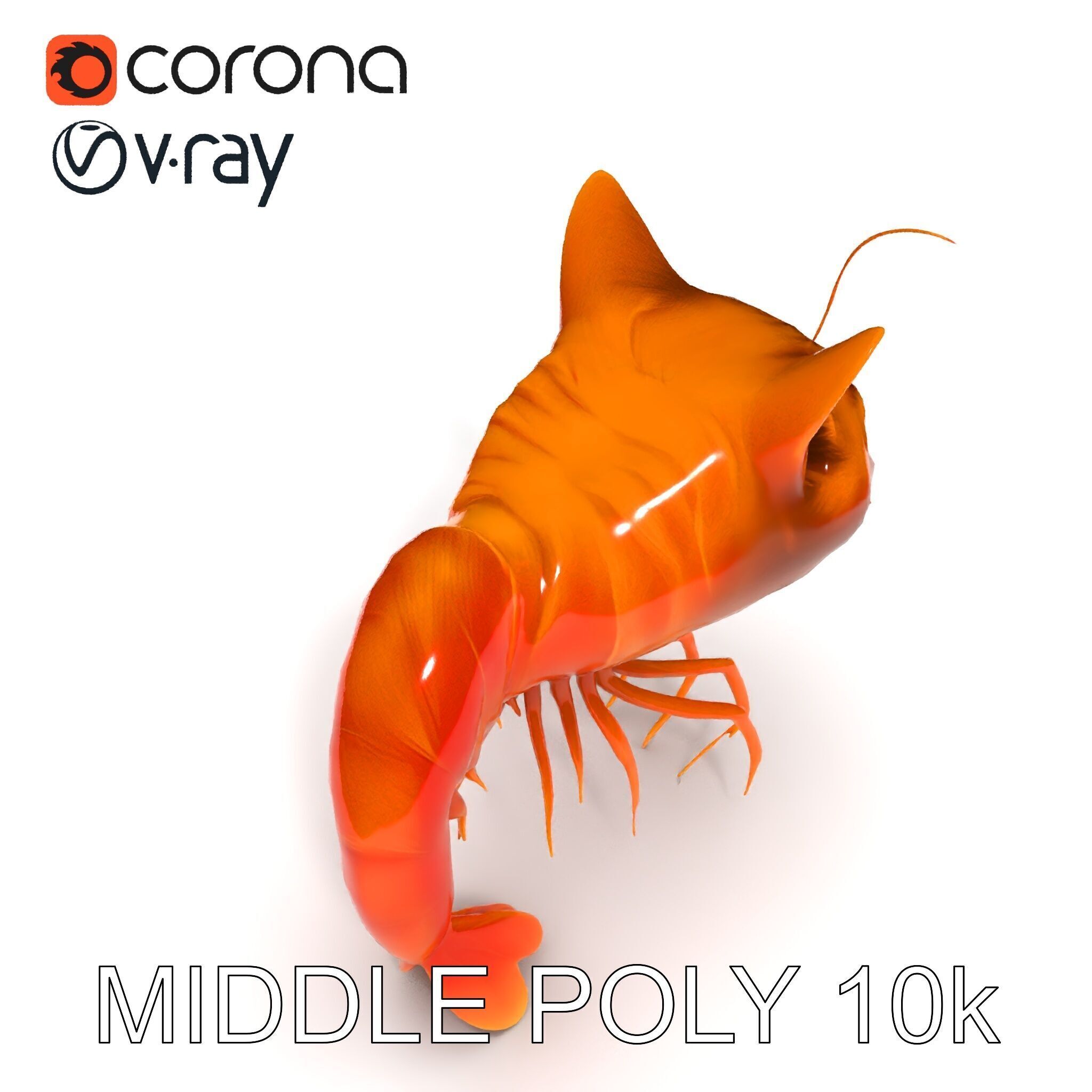 Cat Shrimp Trippy Tropa Low-poly 3D model_19