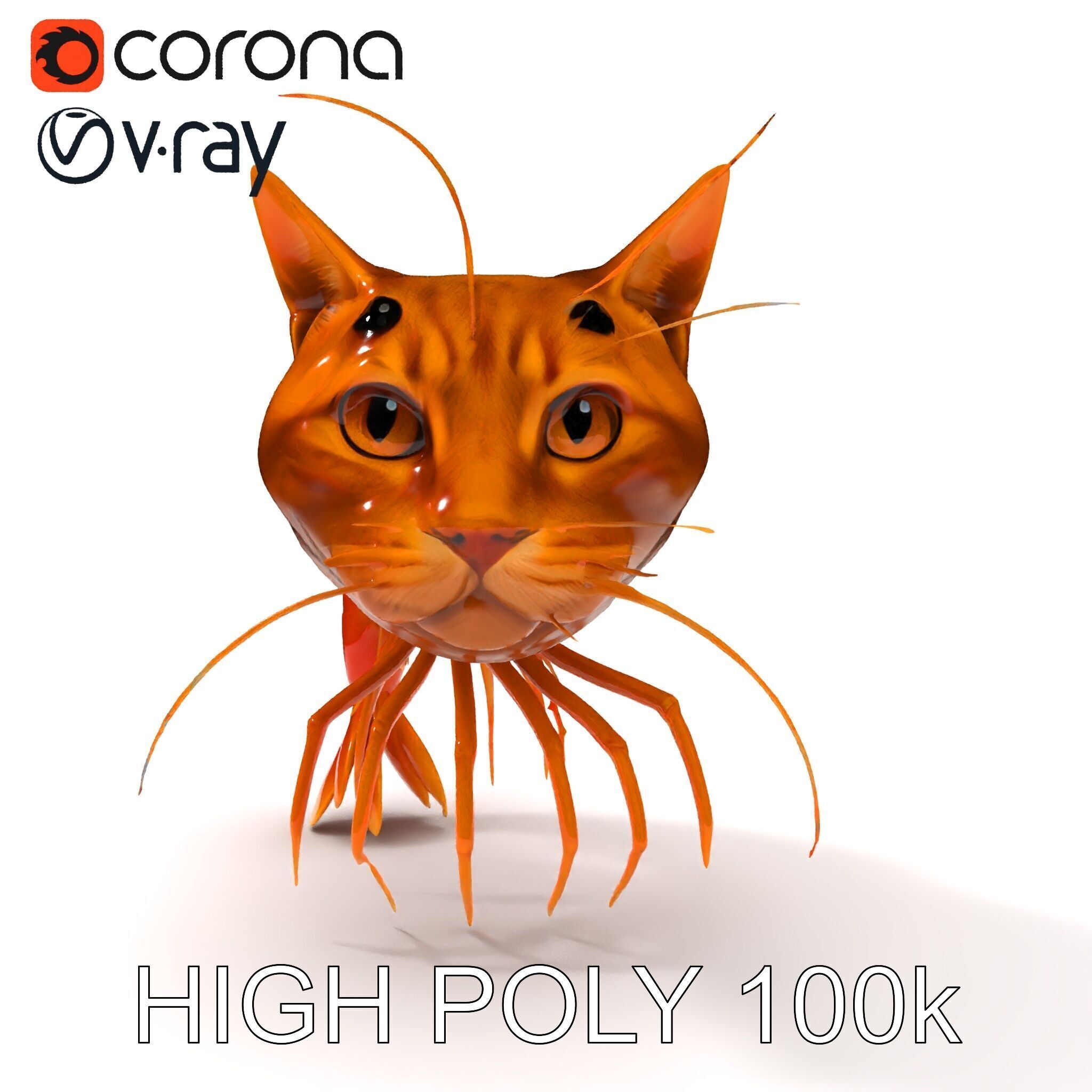 Cat Shrimp Trippy Tropa Low-poly 3D model_21