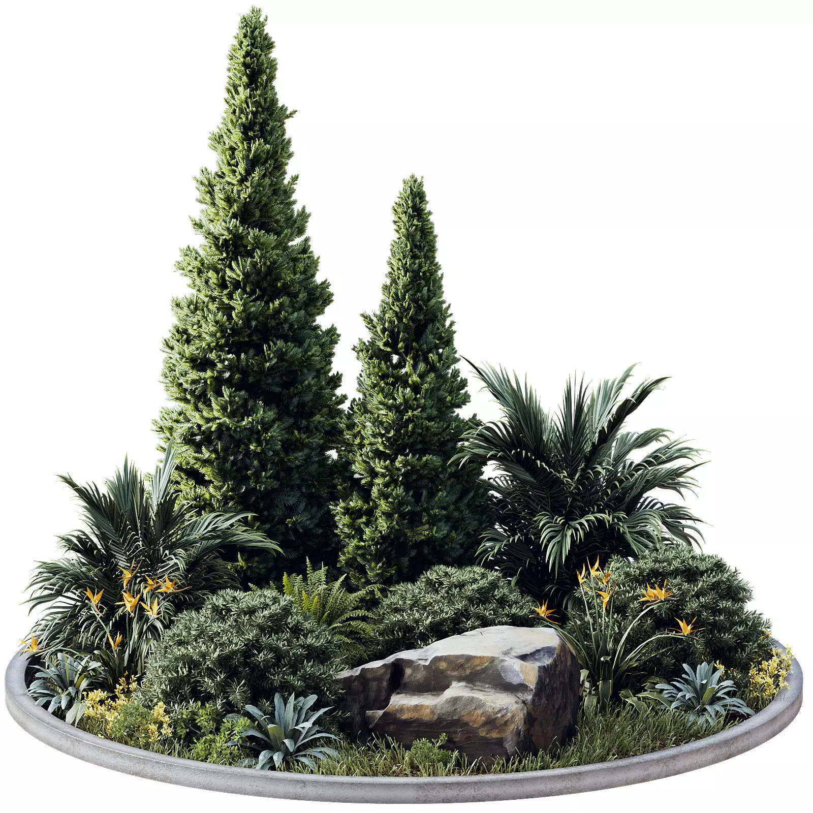 Outdoor Plant 41 3D model