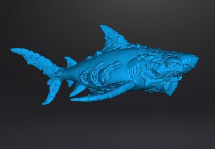 STONE SHARK MINIATURE MODEL FIGURE FOR FANTASY GAMES RPG DND 3D print model_10