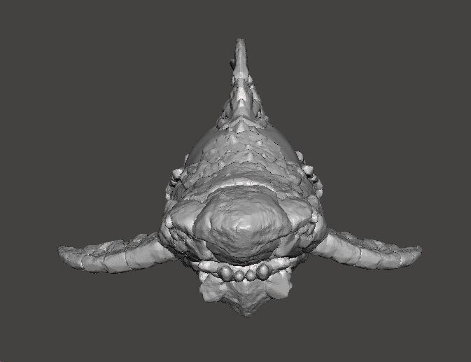 STONE SHARK MINIATURE MODEL FIGURE FOR FANTASY GAMES RPG DND 3D print model_3