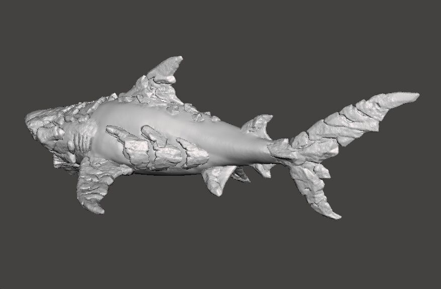STONE SHARK MINIATURE MODEL FIGURE FOR FANTASY GAMES RPG DND 3D print model_7