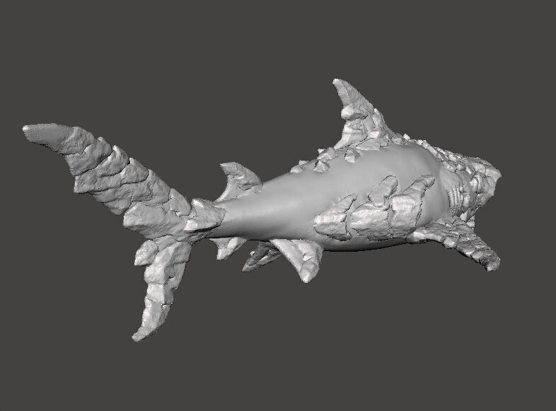 STONE SHARK MINIATURE MODEL FIGURE FOR FANTASY GAMES RPG DND 3D print model_8