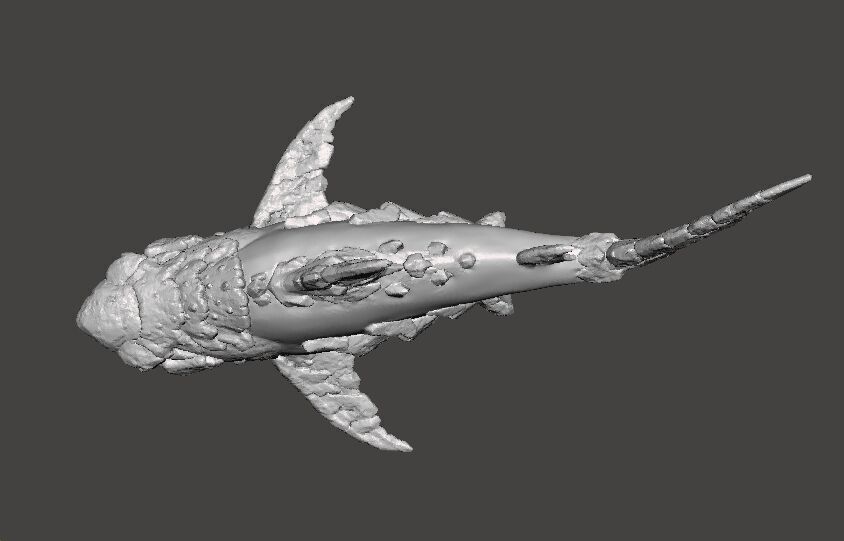 STONE SHARK MINIATURE MODEL FIGURE FOR FANTASY GAMES RPG DND 3D print model_9