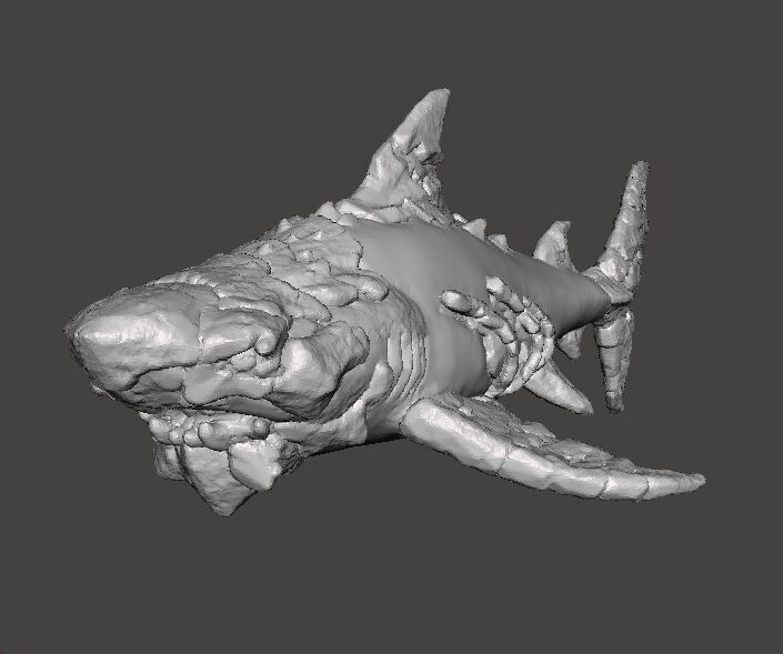 STONE SHARK MINIATURE MODEL FIGURE FOR FANTASY GAMES RPG DND 3D print model_4