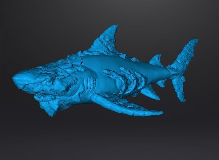 STONE SHARK MINIATURE MODEL FIGURE FOR FANTASY GAMES RPG DND 3D print model_11