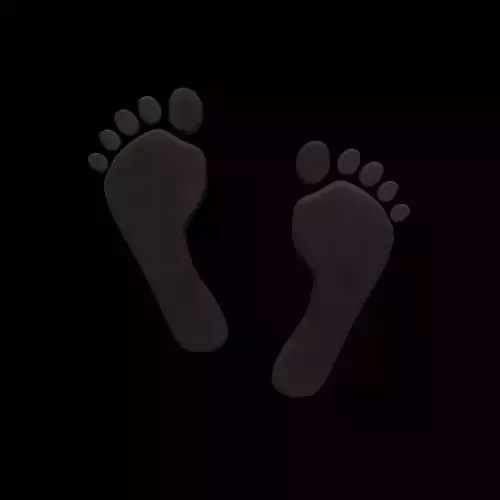 Footprint 3D model