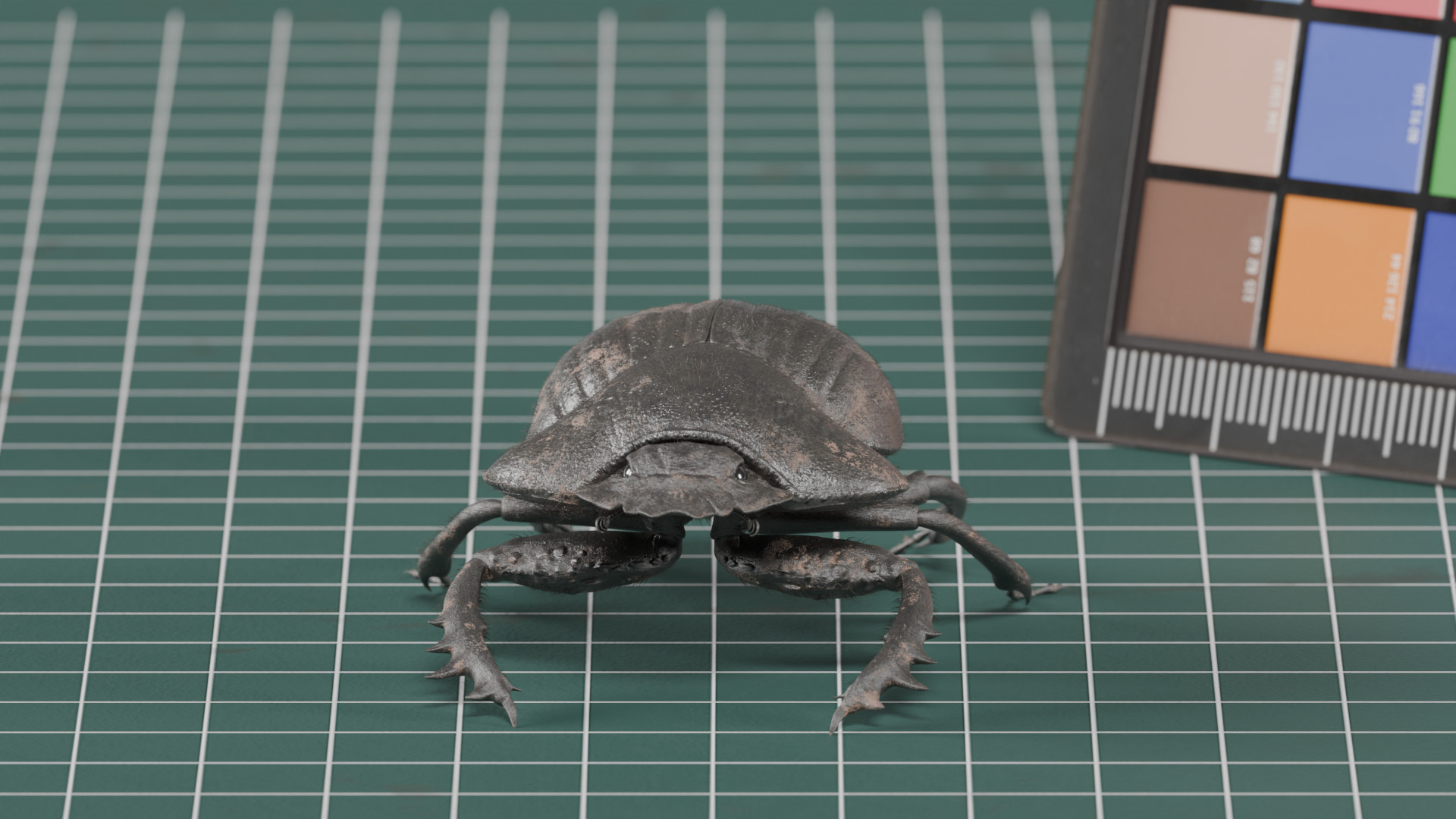 African Dung Beetle - static 3D model_3