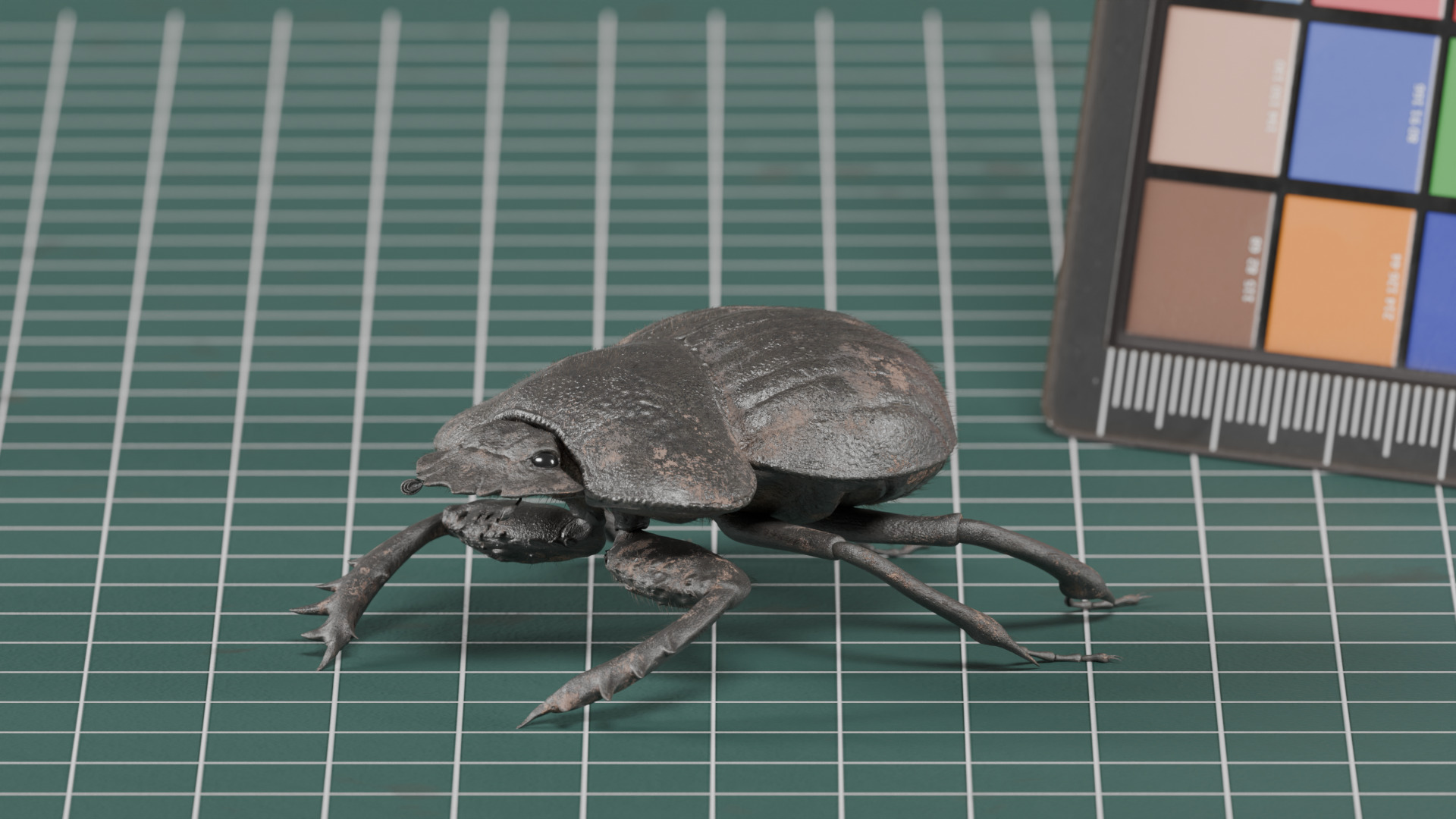 African Dung Beetle - static 3D model_2