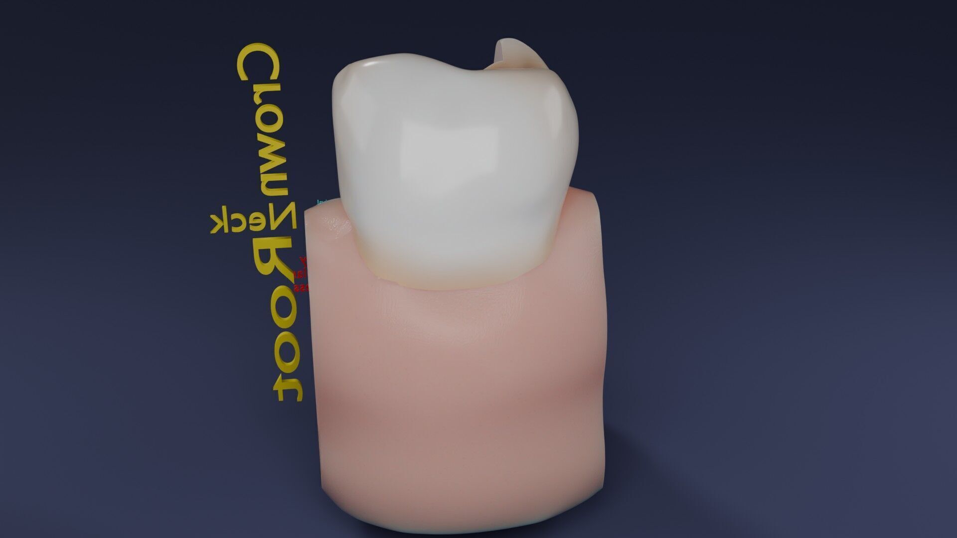 Teeth schematic cut sectional labelled Low-poly 3D model_49