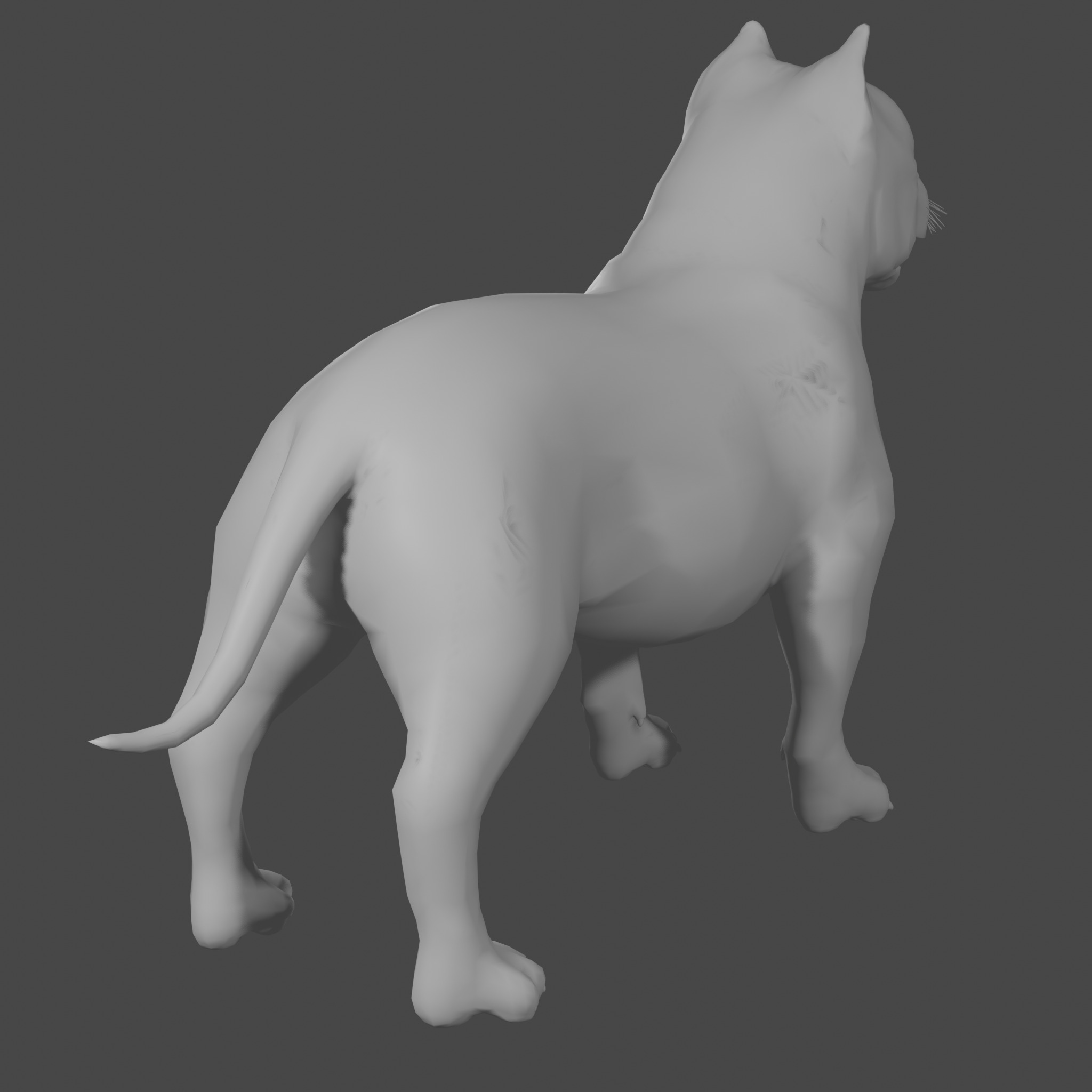 Pitbull basemesh Low-poly 3D model_4