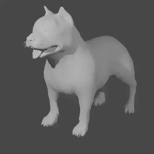 Pitbull basemesh