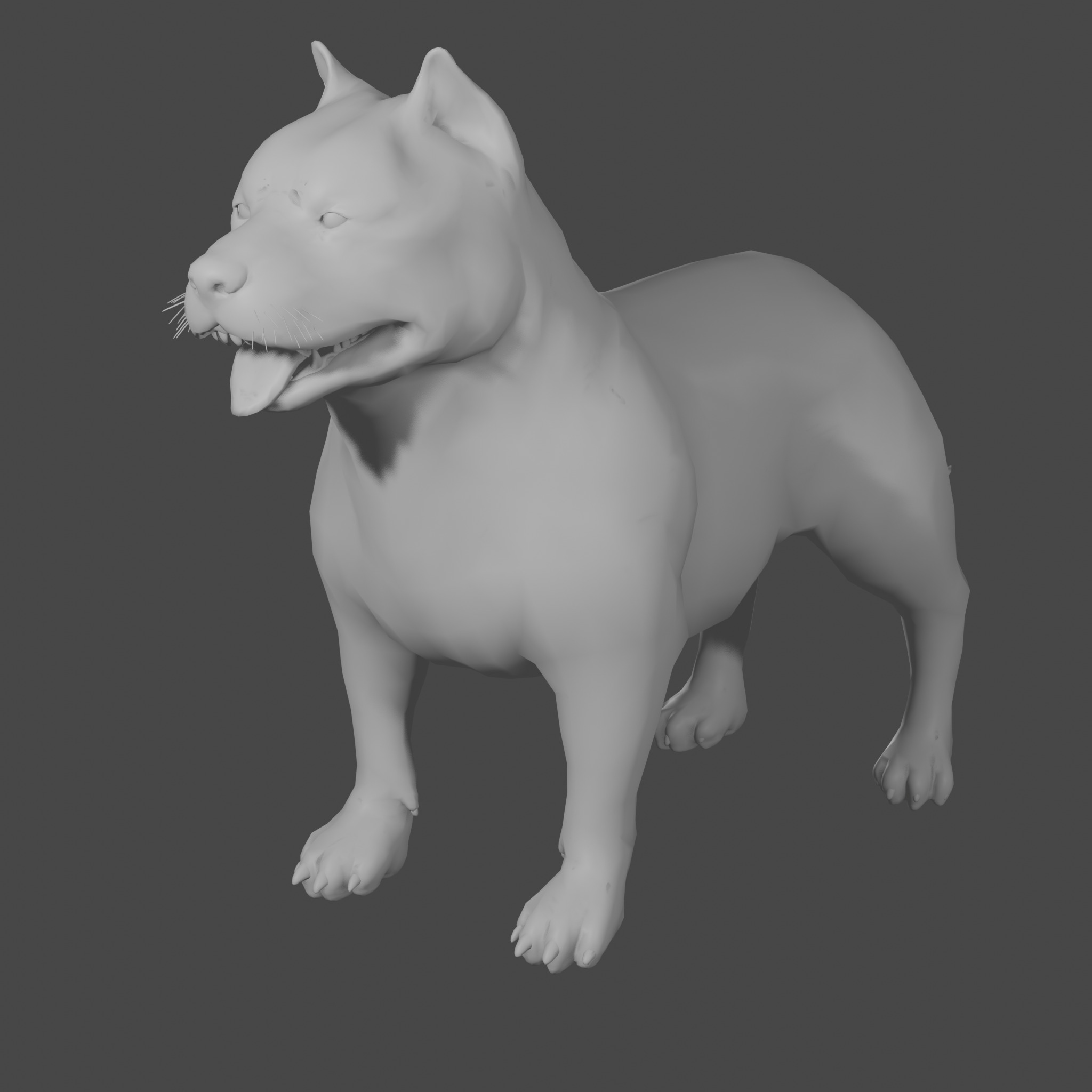 Pitbull basemesh Low-poly 3D model_1