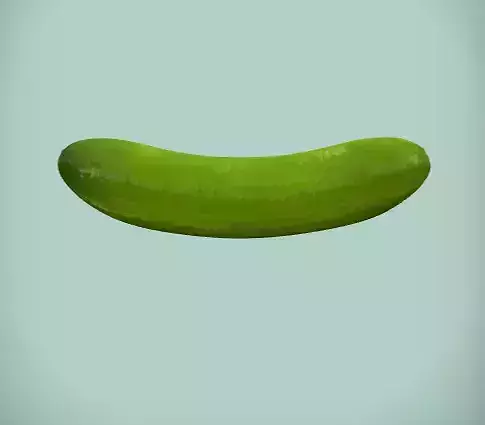 cucumber 3D model