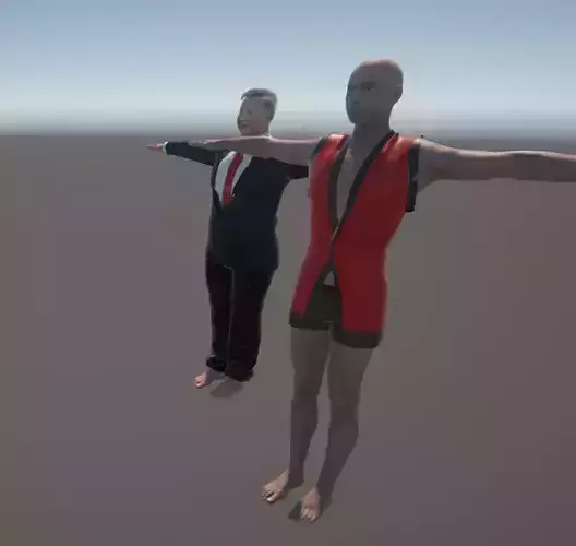 custom 3d model  rigged