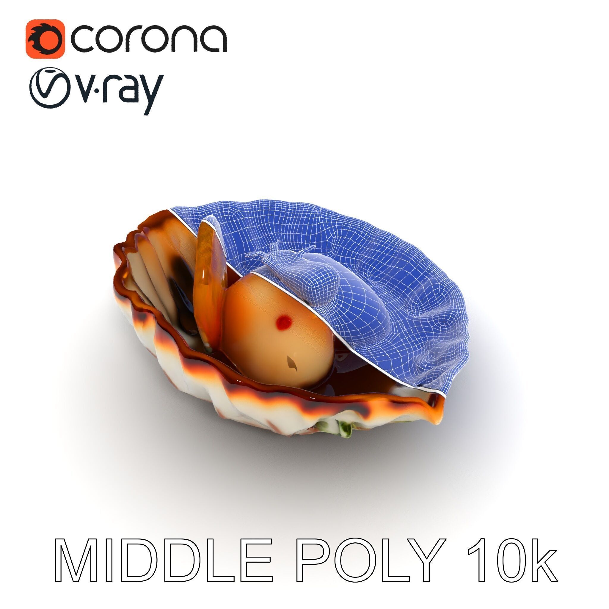 Elegant Dessert Dish with Shell Plate Model Pack Low-poly 3D model_19