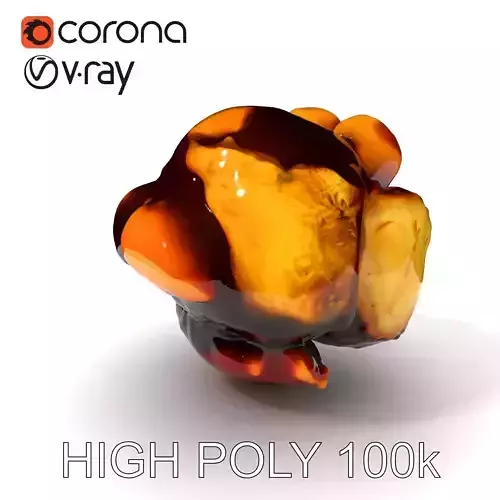 Roasted Chicken Slice Model Pack with Sauce and Garnish