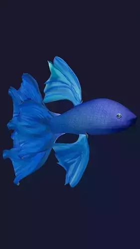3D Fish Model  Cartoon Sea Creatures 