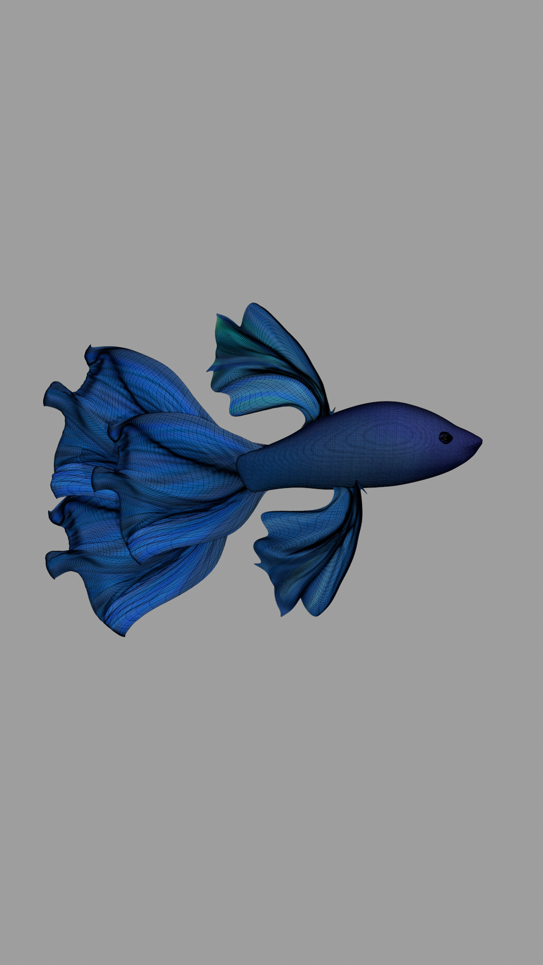 3D Fish Model Cartoon Sea Creatures 3D model_2